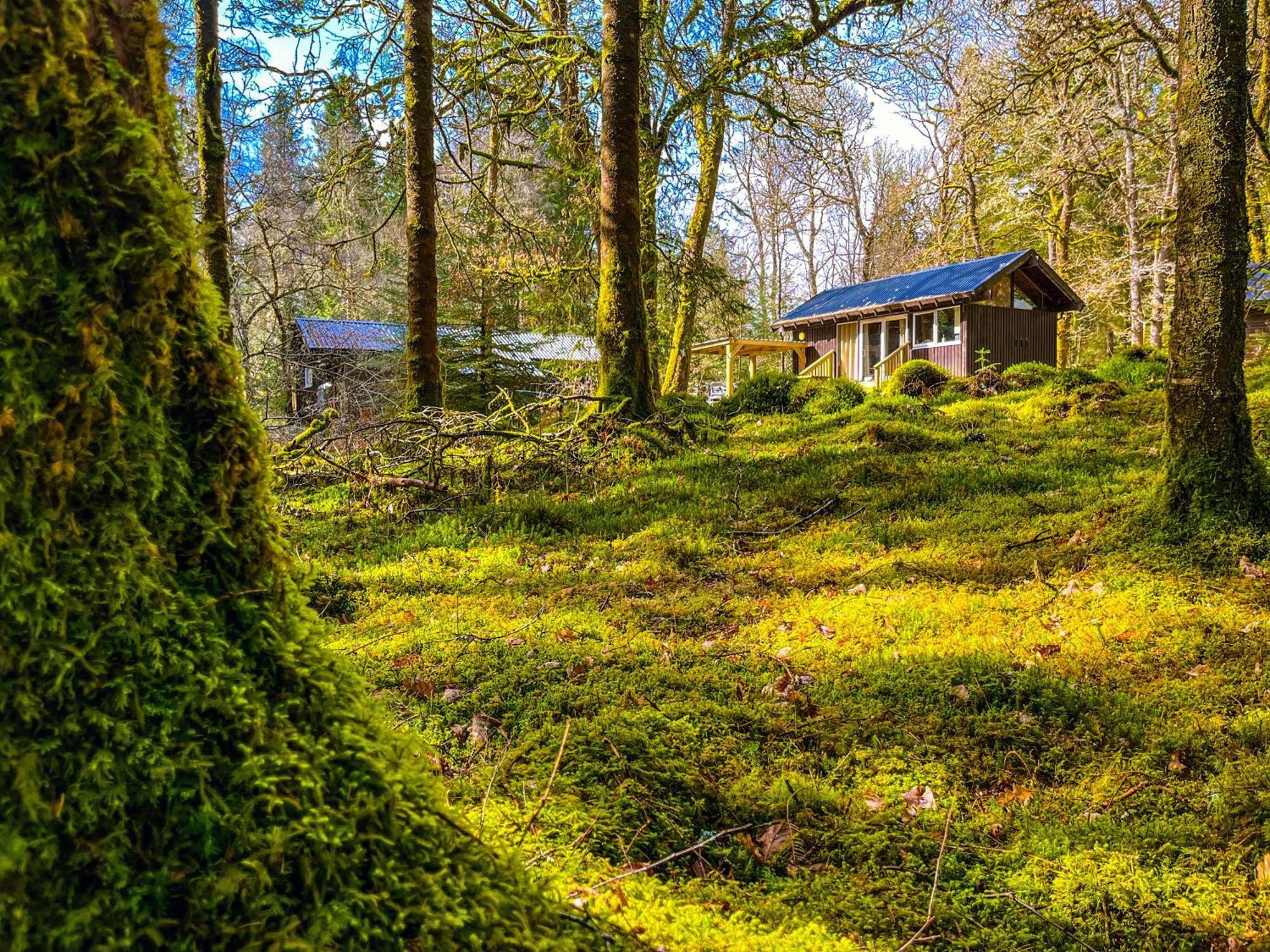 Loch Aweside Forest Cabins Dalavich Δωμάτιο φωτογραφία